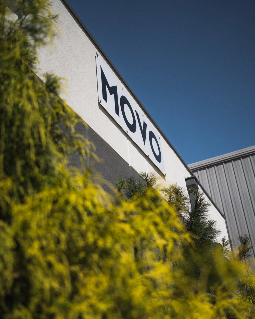 MOVO team